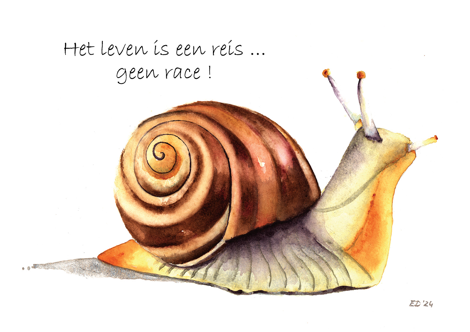slak